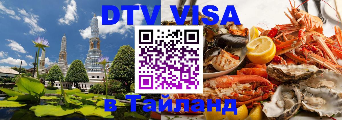 Оформление DTV визы под ключ: стоимость и тарифы, только загранпаспорт - 19.11.2025 